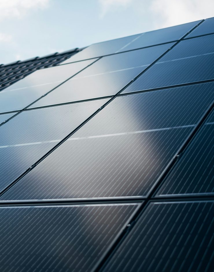 panneau solaire bifacial