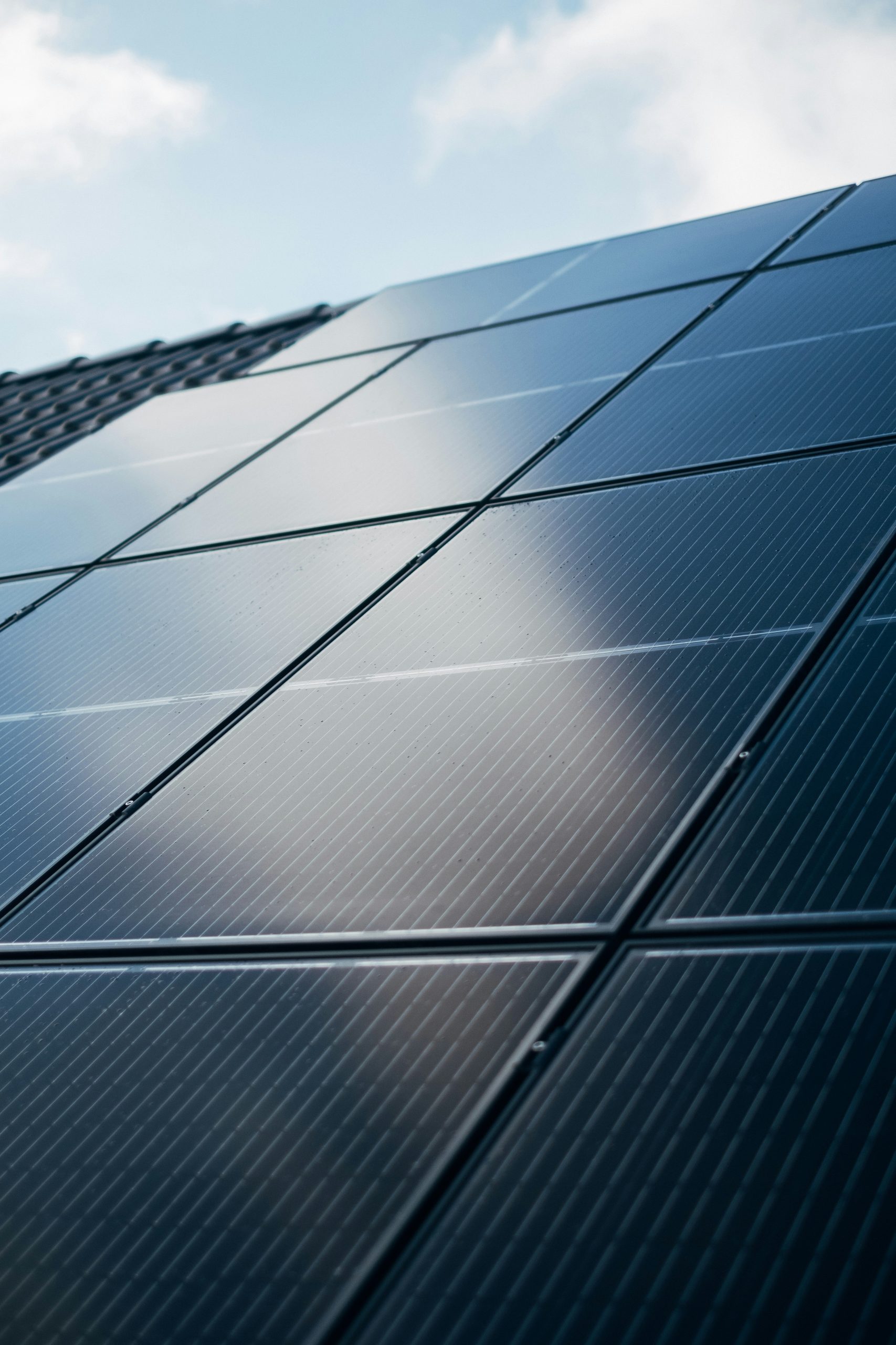 panneau solaire bifacial