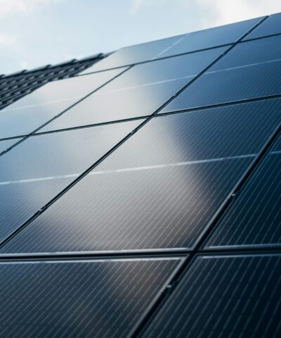 panneau solaire bifacial
